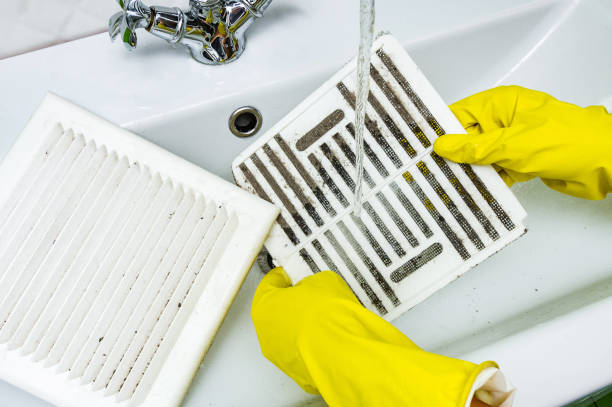 Home Air Vent Cleaning in Elfers, FL